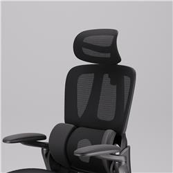 iCAN E21-BK Special Mesh Ergonomic Office Chair