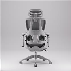 iCAN E21-GY Reclining Ergonomic Office Chair