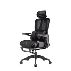 Chaise de bureau ergonomique iCAN E21-BK en maille spéciale