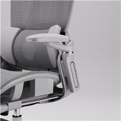 iCAN E21-GY Reclining Ergonomic Office Chair