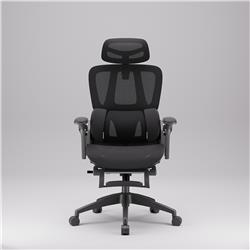 iCAN E21-BK Special Mesh Ergonomic Office Chair