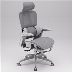 iCAN E21-GY Reclining Ergonomic Office Chair
