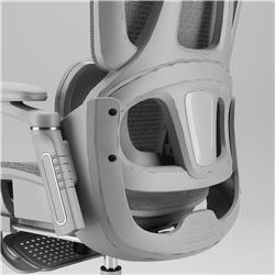 iCAN E21-GY Reclining Ergonomic Office Chair