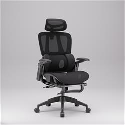 iCAN E21-BK Special Mesh Ergonomic Office Chair
