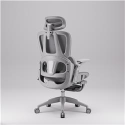 iCAN E21-GY Reclining Ergonomic Office Chair