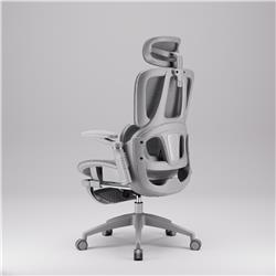 iCAN E21-GY Reclining Ergonomic Office Chair