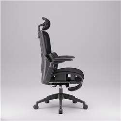 iCAN E21-BK Special Mesh Ergonomic Office Chair