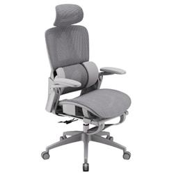 Chaise de bureau ergonomique inclinable iCAN E21-GY