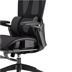 Chaise de bureau ergonomique iCAN E21-BK en maille spéciale