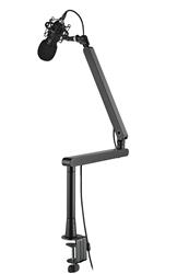 iCAN Microphone Arm, Desk Low Profile Adjustable Mic Boom Arm Stand