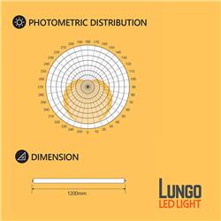 Lungo LED12-Watt 4 ft. Linear T8 LED Ballast Bypass Tube Light Bulb (Type B),Cool White 4000K (30 Packs)