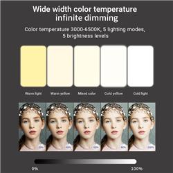 Lampe de vidéoconférence portable à LED iCAN 80 pour selfies(Open Box)