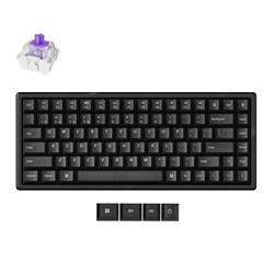 Keychron K2 HE 75% Keyboard Magnetic switches