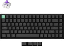 Keychron K2 HE 75% Keyboard Magnetic switches