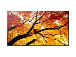 Sharp 65IN 4K Professional Display 550Nits