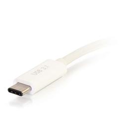 Cables to Go - Convertisseur adaptateur avec alimentation USB-C vers VGA - Blanc (29534)