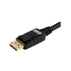 iCAN DisplayPort 1.2 Cable, 10FT