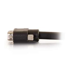 Cables to Go - Câble vidéo mâle/mâle VGA - Certifié CMG - 100 pieds (50220)