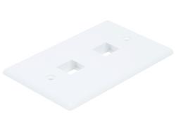 Plaque murale Monoprice pour Keystone, 2 trous - Blanc