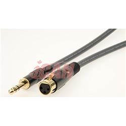 iCAN XLR-F TRS-M 22AWG ProAudio Silver Wires, 3 ft.