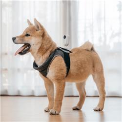 Insta360 Pet Strap Mount For GO 2 Action Camera (CING2CB/J)