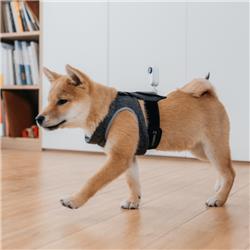 Insta360 Pet Strap Mount For GO 2 Action Camera (CING2CB/J)