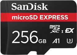 SanDisk Gameplay 256 Go microSDXC UHS-I U3 A1