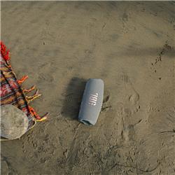 JBL Charge 5 - Haut-parleur portable étanche avec Powerbank, Gris