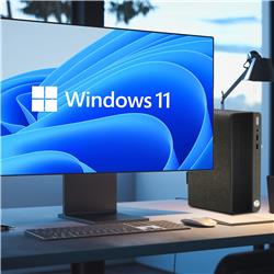 HP Treasure Box SFF i5-8600 16 Go RAM 1 To SSD Win11 Pro Remis à neuf