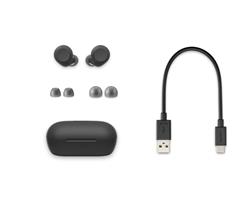 SONY Écouteurs WF-C710N à réduction du bruit Truly Wireless, Noir