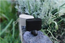 SONY WF-1000XM6 Truly Wireless NC Earbuds, Black