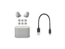 SONY WF-1000XM6 Écouteurs NC véritablement sans fil, argent platine