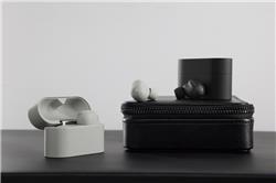 SONY WF-1000XM6 Écouteurs NC véritablement sans fil, argent platine