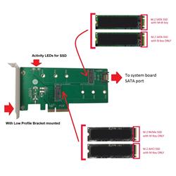 Vantec M.2 NVMe + M.2 SATA SSD PCIe x4 Adapter (UGT-M2PC200)