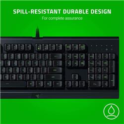 RAZER Cynosa Lite – Essential Gaming Keyboard - US Layout