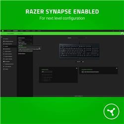 RAZER Cynosa Lite – Essential Gaming Keyboard - US Layout