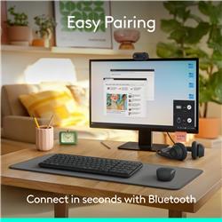 LOGITECH MK250 Productivity English Keyboard and Mouse Combo - Graphite