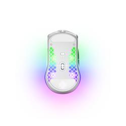 STEELSERIES 62608 Right-handed Gaming Mouse - White (62608)