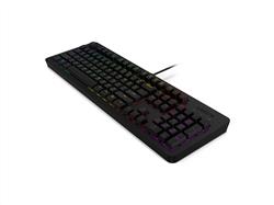 Lenovo K300 Full-Size (100%) Gaming Keyboard, Black -