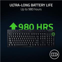 RAZER BlackWidow V4 Low Profile Pleine grandeur Clavier de jeu, Noir