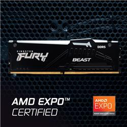 Kingston FURY Beast RGB 64 Go (2x32 Go) DDR5 5600 MHz CL36 UDIMM