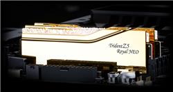 G.SKILL Trident Z5 Royal Neo RGB 32GB (2x16GB) DDR5 8000MHz CL38