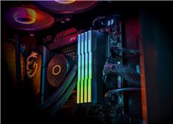 KLEVV CRAS V RGB 32GB (2x16GB) DDR5 6000MHz CL28 UDIMM