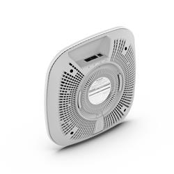 Point d'accès sans fil NETGEAR (WAX625)