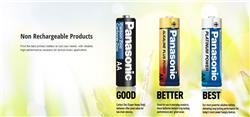 PANASONIC - Batterie robuste Carbon Zinc 2-pack taille D (UM1NPA2BCA)