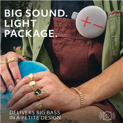 ULTIMATE EARS MINIROLL Haut-parleur Bluetooth étanche, Gris