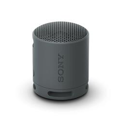 SONY SRS-XB100 Portable Wireless Speaker, Black