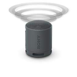 SONY SRS-XB100 Portable Wireless Speaker, Black