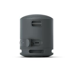 SONY SRS-XB100 Portable Wireless Speaker, Black