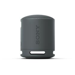 SONY SRS-XB100 Portable Wireless Speaker, Black